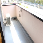 アウローラ 画像6